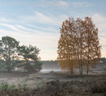 Hövelhof | Paderborner Land